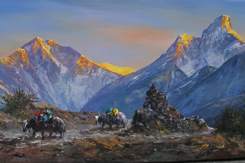 Himalayan Yaks in Khumbu Valley